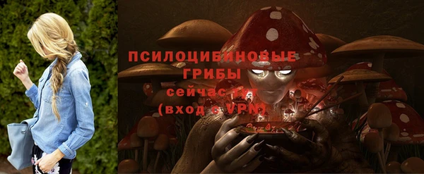 не бодяженный Михайлов