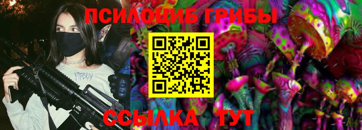 Псилоцибиновые грибы Psilocybe Курск