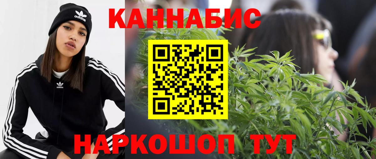 Конопля гибрид Курск