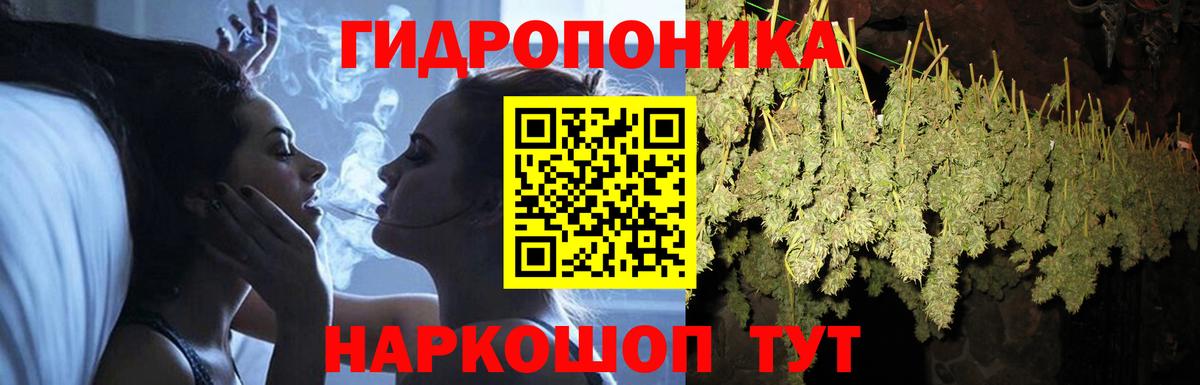 Бошки Шишки марихуана Курск